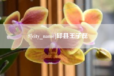 陵水邱县王子磊