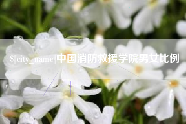 陵水中国消防救援学院男女比例