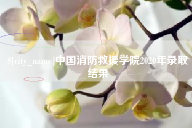 陵水中国消防救援学院2020年录取结果