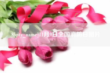 陵水11月9日全国消防日图片