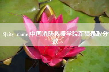 陵水中国消防救援学院新疆录取分数