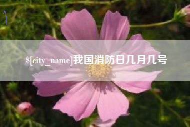陵水我国消防日几月几号