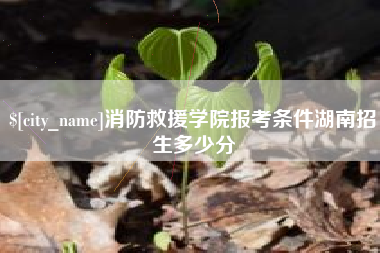 陵水消防救援学院报考条件湖南招生多少分