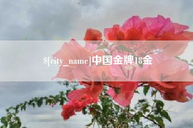 陵水中国金牌18金