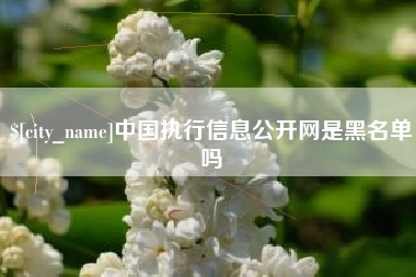 陵水中国执行信息公开网是黑名单吗