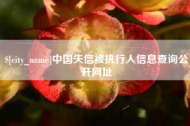陵水中国失信被执行人信息查询公开网址