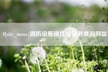 陵水消防设施操作员证书查询网址