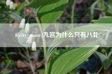 陵水九宫为什么只有八卦