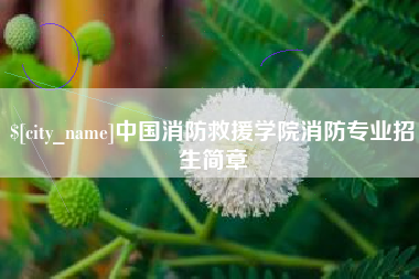 陵水中国消防救援学院消防专业招生简章