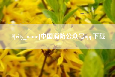 陵水中国消防公众号app下载