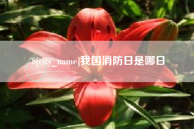 陵水我国消防日是哪日