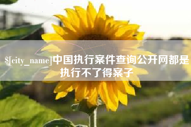 陵水中国执行案件查询公开网都是执行不了得案子