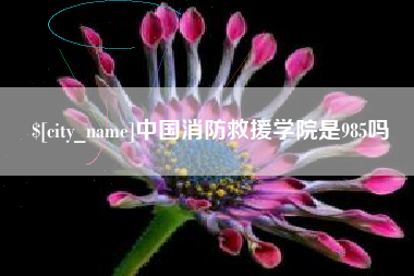 陵水中国消防救援学院是985吗
