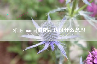 陵水消防ccc认证什么意思