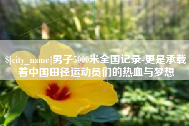 陵水男子5000米全国记录-更是承载着中国田径运动员们的热血与梦想