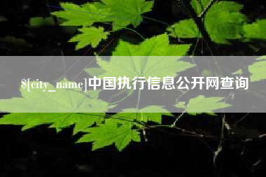 陵水中国执行信息公开网查询
