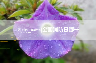 陵水全国消防日哪一