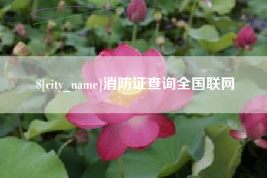 陵水消防证查询全国联网