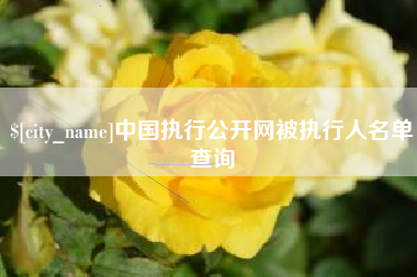 陵水中国执行公开网被执行人名单查询
