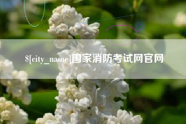 陵水国家消防考试网官网