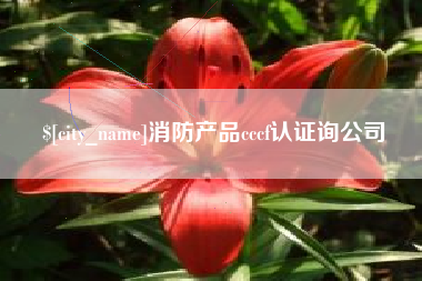 陵水消防产品cccf认证询公司