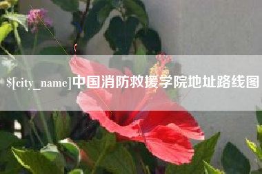 陵水中国消防救援学院地址路线图