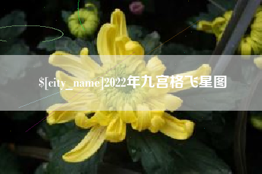 陵水2022年九宫格飞星图