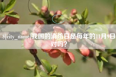 陵水我国的消防日是每年的11月9日对吗？