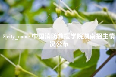 陵水中国消防救援学院湖南招生情况公布