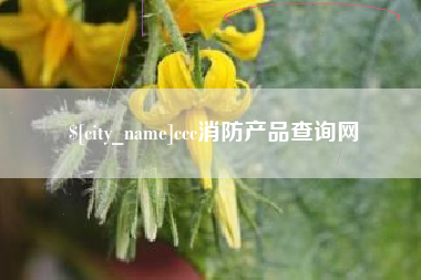陵水ccc消防产品查询网