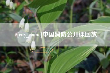 陵水中国消防公开课回放