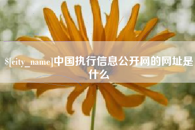 陵水中国执行信息公开网的网址是什么