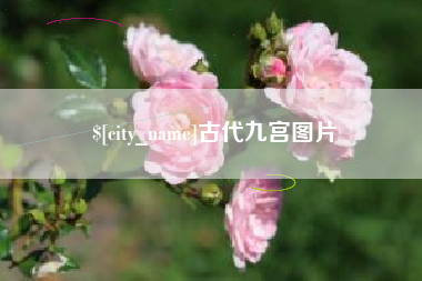 陵水古代九宫图片