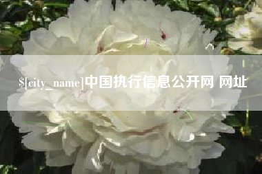 陵水中国执行信息公开网 网址