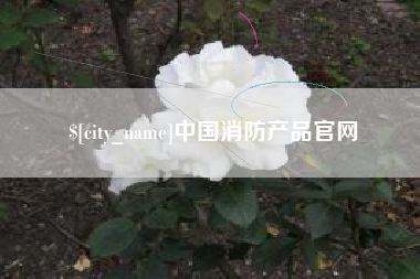 陵水中国消防产品官网