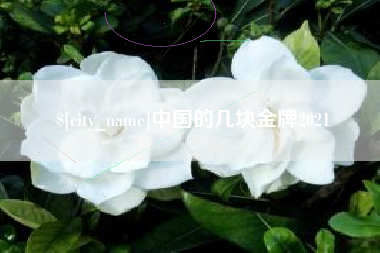 陵水中国的几块金牌2021