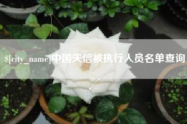 陵水中国失信被执行人员名单查询