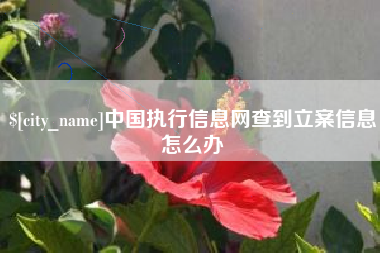 陵水中国执行信息网查到立案信息怎么办