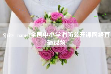 陵水全国中小学消防公开课网络直播视频
