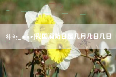 陵水我国消防日是几月几日几日
