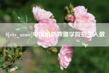 陵水中国消防救援学院招生人数