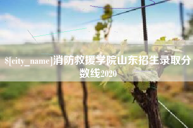 陵水消防救援学院山东招生录取分数线2020