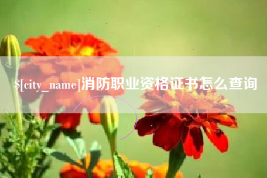 陵水消防职业资格证书怎么查询