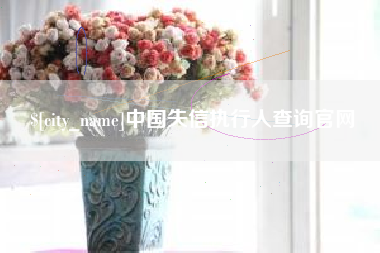 陵水中国失信执行人查询官网