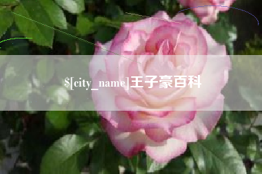 陵水王子豪百科