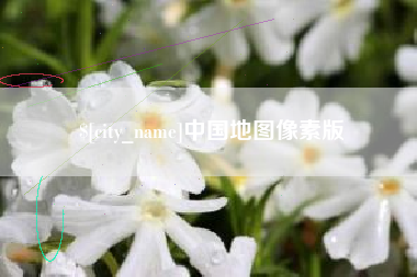 陵水中国地图像素版
