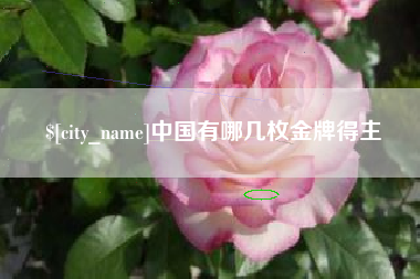 陵水中国有哪几枚金牌得主