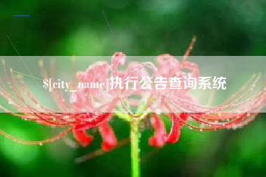 陵水执行公告查询系统