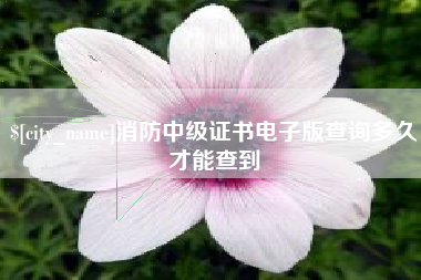陵水消防中级证书电子版查询多久才能查到