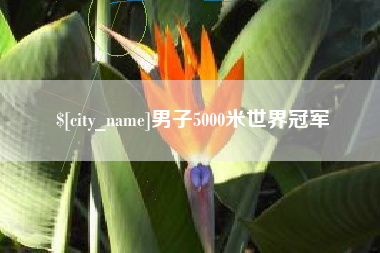 陵水男子5000米世界冠军